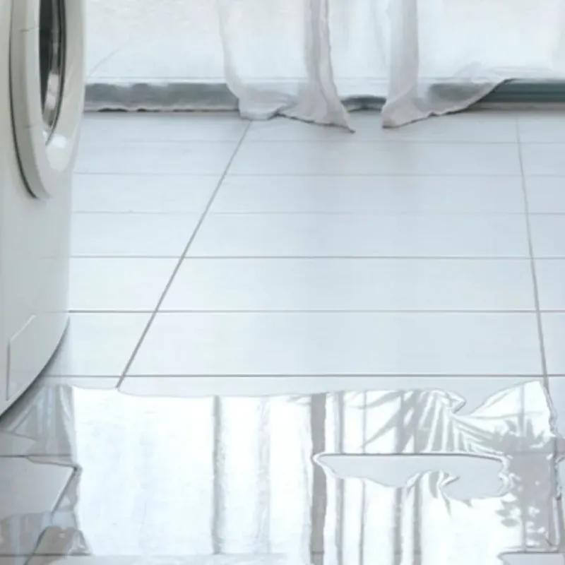 Appliance Leak Cleanup in Evansville, IN
