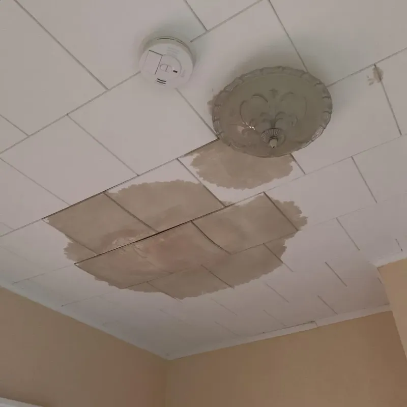 Ceiling Water Damage Repair in Evansville, IN