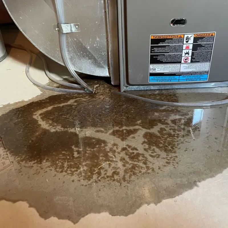 Pipe Burst and Leak Restoration in Evansville, IN