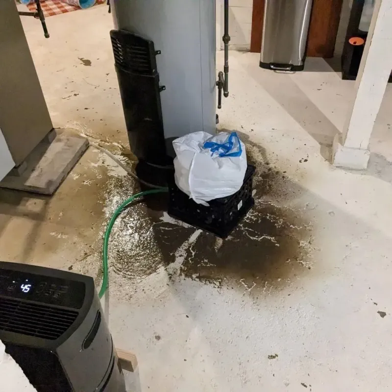Sewage Backup Cleanup Service in Evansville, IN